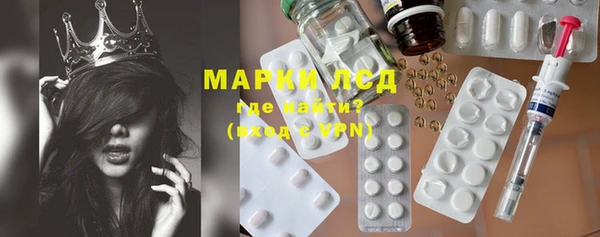 трава Медвежьегорск