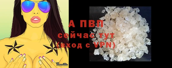 стаф Горнозаводск