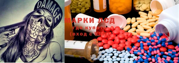 стаф Горнозаводск