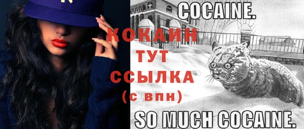 мдма Горняк