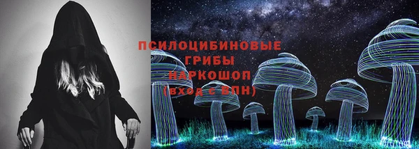стаф Горнозаводск