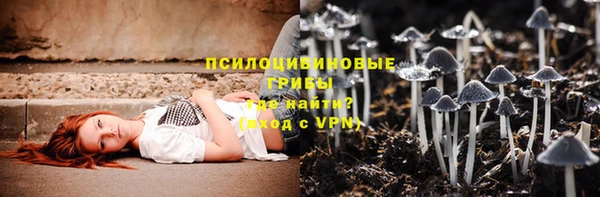 мдма Горняк